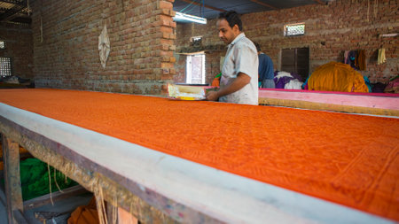 BAGRU, JAIPUR, Rajasthan, India â DEC, 2016: Block Printing for Textile in India. Block Printing Traditional Process on Dec 2016, JAIPUR, India. Jaipur - center of Traditional Handicrafts of Indiaのeditorial素材
