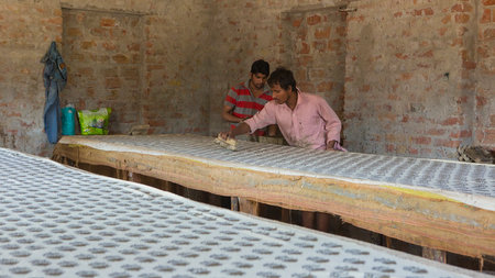 BAGRU, JAIPUR, Rajasthan, India â DEC, 2016: Block Printing for Textile in India. Block Printing Traditional Process on Dec 2016, JAIPUR, India. Jaipur - center of Traditional Handicrafts of Indiaのeditorial素材