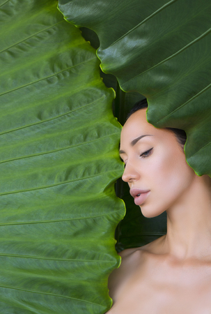 Beautiful Woman face with Natural nude make-up on a tropical leaf background. Healthy life. Sexy beautiful woman behind the leaves. Pure natural cosmetic and wellness concept. Purity and skincare. space for textの写真素材