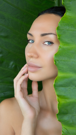 Head and bare shoulders portrait of beautiful young woman looking trough green tropical leaves. Young woman's face surrounded by tropical leaves. Cosmetic, wellness and skincare.の写真素材