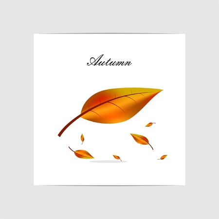 autumn cardのイラスト素材
