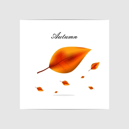 autumn cardのイラスト素材