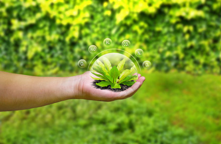 Human hand holding plant with social media icon on nature background, Earth day conceptの写真素材