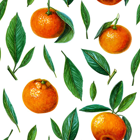 Seamless pattern of tangerines or mandarins or clementines with leaves and slices. citrus pattern on white background. Orange fruits and green leaves pattern. Summer and juice background. painted watercolor illustration of fresh orange juice citrus fruits. Orange mandarins, slices of tangerines and leaves isolated on white background.の写真素材