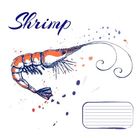 ink hand drawn shrimp or prawn concept for design or decoration. Ink spattered shrimp illustration. vector red king prawn drawn in ink. seafood concept with color splashes on white with place for textのイラスト素材