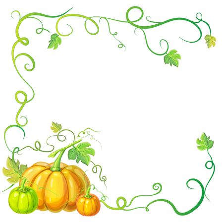 autumn frame with pumpkins and vines, leaves and place for text. Thanksgiving, halloween or corn festival card template, border or banner with pumpkins, leaves, curly tendrils. pumpkins conceptのイラスト素材