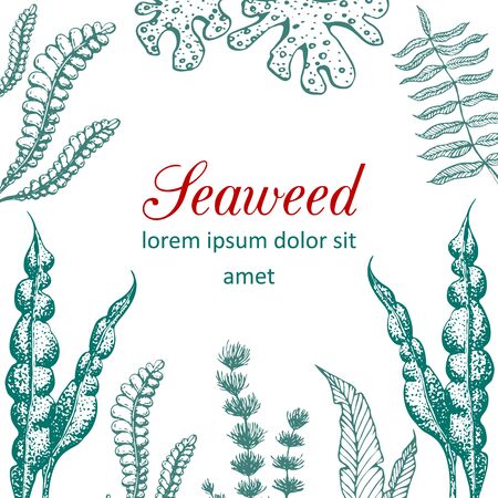 Vector hand drawn seaweed frame illustration. Vintage background with underwater natural elements. Wedding or ad template design with drawn seaweeds, corals and reef. Vintage seaweed collection.のイラスト素材