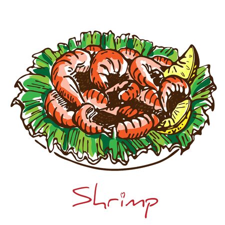 hand drawn boiled prawn or shrimp with lettuce and lemon slices isolated on white background. Colorful sketch drawing of seafood. king Shrimps served on white plate.Tasty cooked fried pile of prawns.のイラスト素材