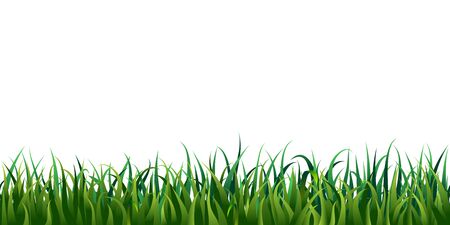 Seamless grass border isolated on white or transparent background. vector illustration of fresh realistic green lawn. endless horizontal grass frame. bright meadow panorama. spring, summertime designのイラスト素材