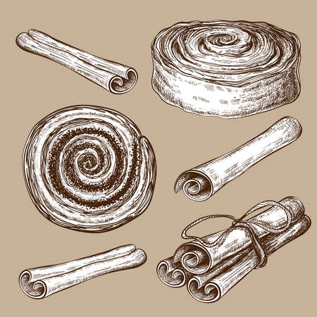hand drawn sweet cinnamon buns or rolls with cinnamon sticks collection isolated on white. Vector pastry sketch set. vintage illustration of sweet dessert. cannella, poppy or cocoa snail, tasty swirlsのイラスト素材