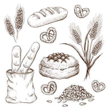 hand drawn breads set isolated on white. vector vintage illustration of variety bread like french baguette, round rustic bread, wheat loaf, rye or wheat ears, grains and pretzels engraved collection.のイラスト素材