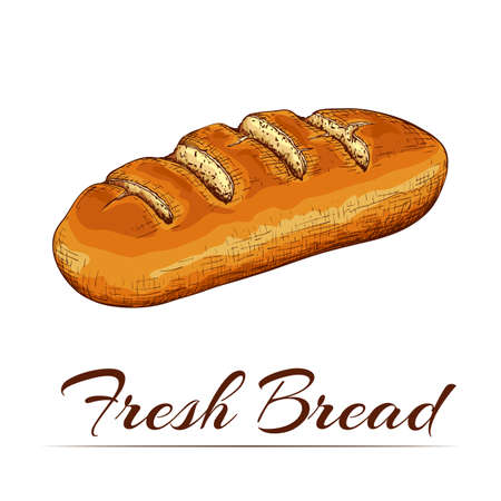 ink drawn colored wheat bread isolated on white backdrop. traditional loaf of bread doodle icon. Vector sketch in vintage engraving style. bakery goods illustration for poster, label, menu bakery shopのイラスト素材