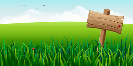 wooden sign in grass on field vector illustration. horizontal green summer landscape with signboard, clouds and flying birds. rural idyllic scene. signpost on spring meadow background. nature banner.のイラスト素材