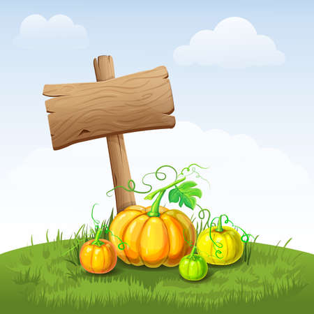 beautiful autumn landscape with pumpkins and wooden signboard. illustration of fall harvest with blank signpost on grass or field. hello autumn poster, fall festival or Thanksgiving banner template.のイラスト素材