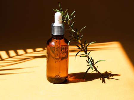 Rosemary essential oil in a glass bottle with a sprig of romarine and shadows on a badge background.の写真素材