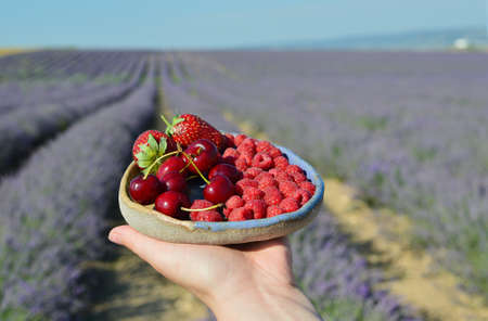 Hand holds a handmade ceramic plate with cherries and raspberries on a lavender field background.