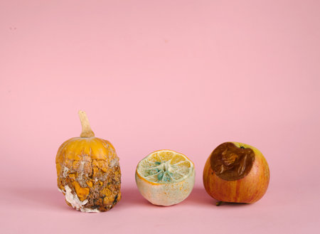 Rotten missing pumpkin, lemon, apple on pink background.の写真素材