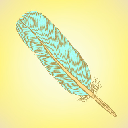 Sketch feather, vector vintage background のイラスト素材