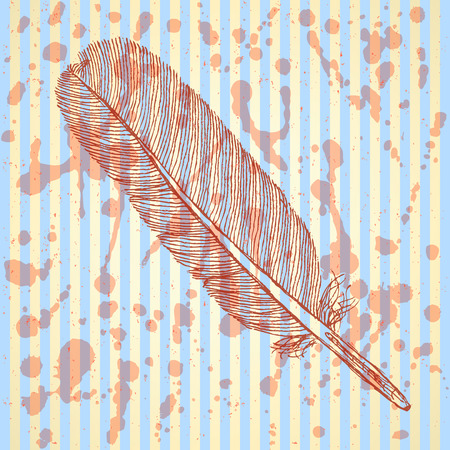 Sketch feather, vector vintage background のイラスト素材