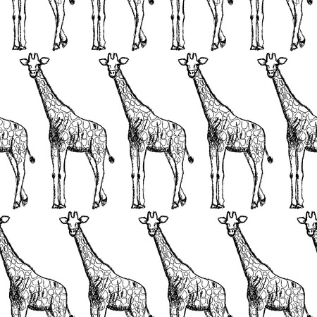 Sketch giraffe, vector vintage seamless pattern eps 10のイラスト素材