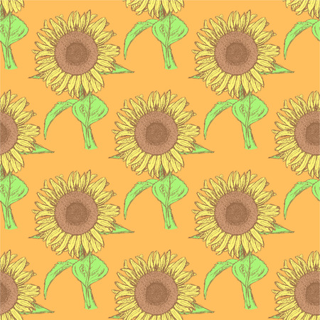 Sketch of sunflowers in vintage backgroundのイラスト素材
