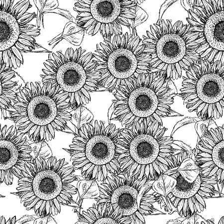 Sketch sunflower, vector vintage seamless pattern のイラスト素材
