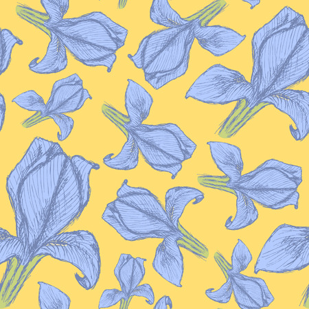 Sketch iris, vector vintage seamless patternのイラスト素材