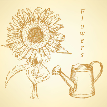 Sketch sunflower and watering can, vector vintage backgroundのイラスト素材