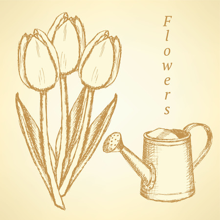 Sketch tulip and watering can on vintage backgroundのイラスト素材