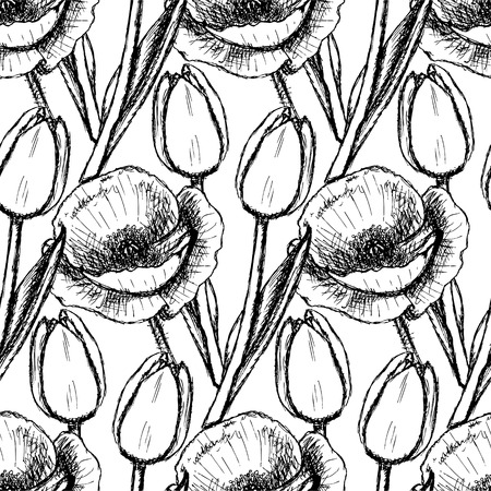 Sketch tulip and poppy, background in vintage styleのイラスト素材