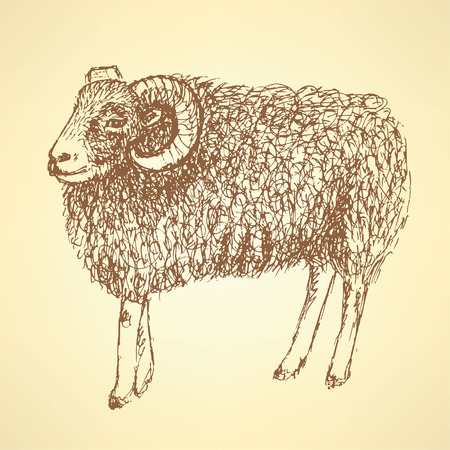 Sketch New Year ram in vintage style, backgroundのイラスト素材