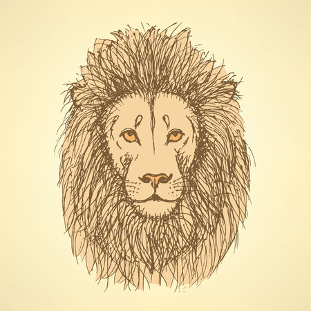Sketch cute lion in vintage style, backgroundのイラスト素材