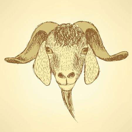 Sketch cute goat head in vintage style, backgroundのイラスト素材