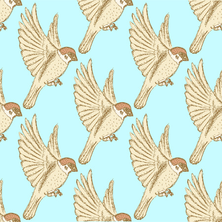 Sketch cute sparrow, vector seamless pattern in vintage styleのイラスト素材
