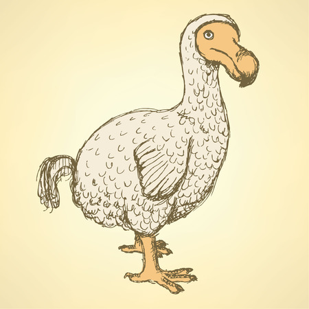Sketch dodo bird in vintage style, vectorのイラスト素材