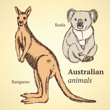 Sketch Australian animals in vintage style, vectorのイラスト素材