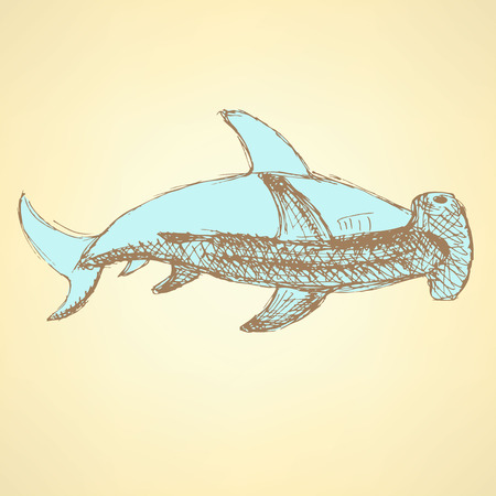 Sketch hammerhead shark in vintage style, vectorのイラスト素材
