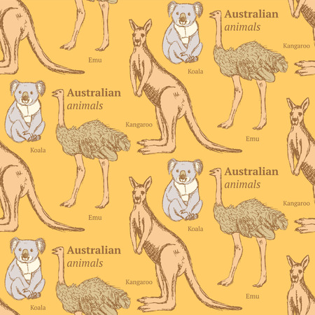 Sketch Australian animals in vintage style, vector seamless patternのイラスト素材