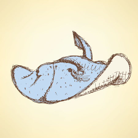 Sketch cute numbfish in vintage style, vectorのイラスト素材