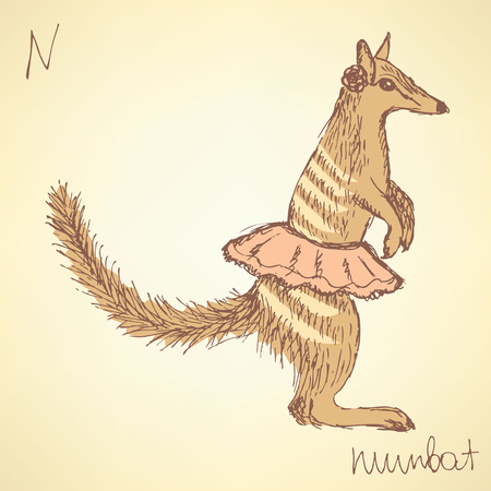 Sketch fancy numbatl in vintage style, vectorのイラスト素材