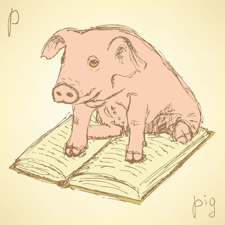 Sketch fancy pig in vintage style, vectorのイラスト素材