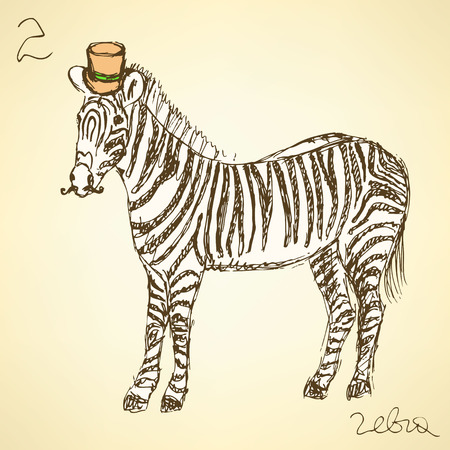Sketch fancy zebra in vintage style, vectorのイラスト素材