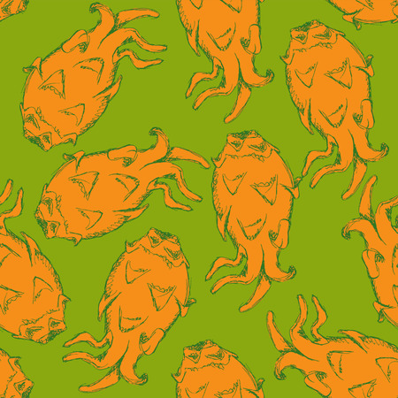 Sketch dragon fruit in vintage style, vector seamless patternのイラスト素材