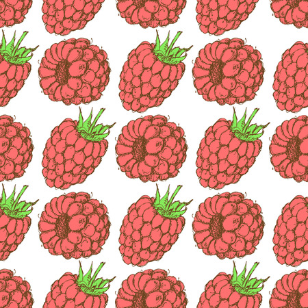 Sketch tasty raspberry in vintage style, vector seamless patternのイラスト素材