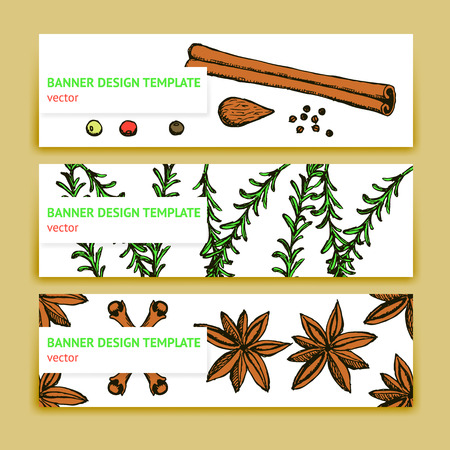 Sketch spices and herbs banners in vintage style, vectorのイラスト素材