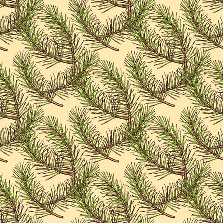 Sketch pine branch in vintage style, vector seamless patternのイラスト素材