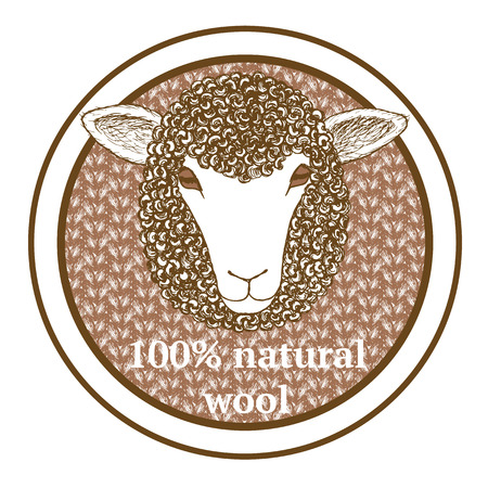 Sketch 100% wool tag with sheep in vintage styleのイラスト素材