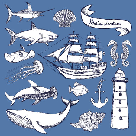 Sketch set of marine elements in vintage style, vectorのイラスト素材