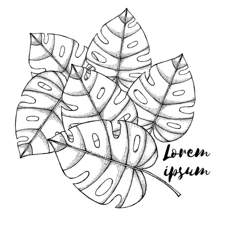Engraved palm leaves in vintage style, backgroundのイラスト素材