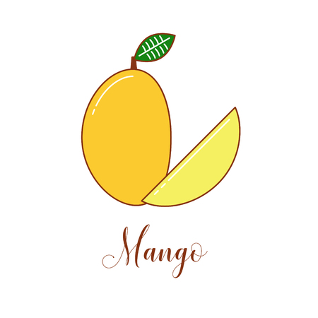 Mango illustration, colorful vector line art design. Eco life and healthy foodのイラスト素材